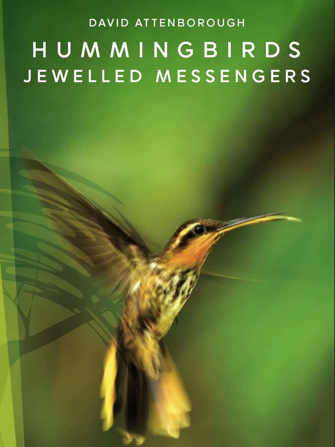 POSTER HUMMINGBIRDS_JEWELLED_MESSENGERS