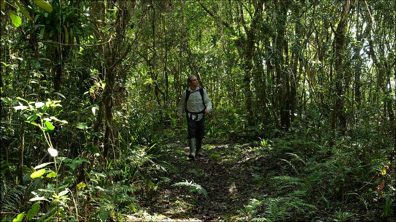 Filming in the Amazon Rainforest
