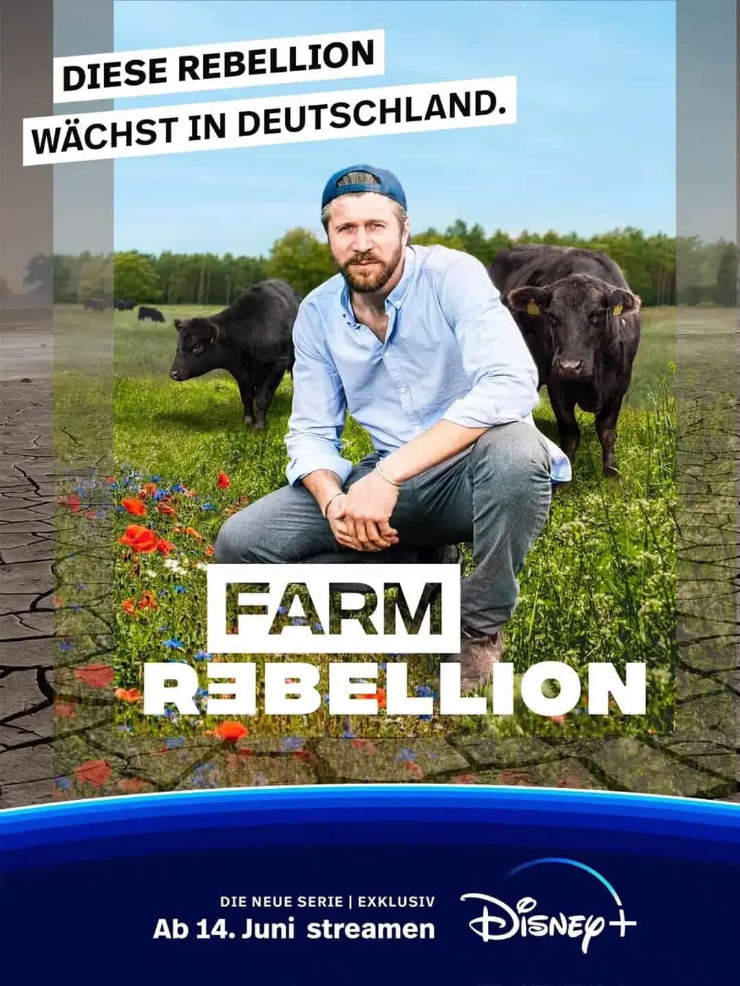 fixer brazil farm_rebellion