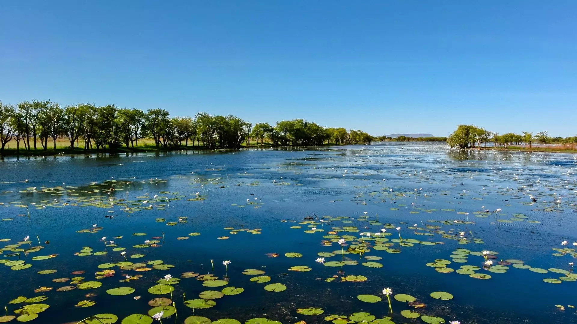 production service in Pantanal Filming in pantanal